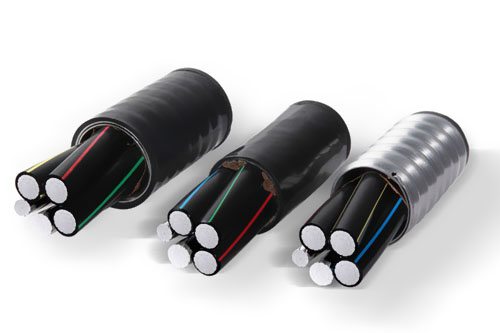 XϽ|Ƿχ(gu)Ҙ(bio)(zhn)